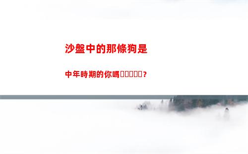 沙盤中的那條狗是中年時期的你嗎？